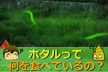 Thumbnail of post image 005